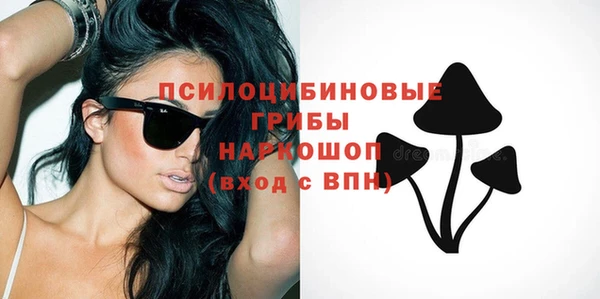 гашик Наволоки