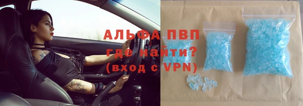 трава Надым