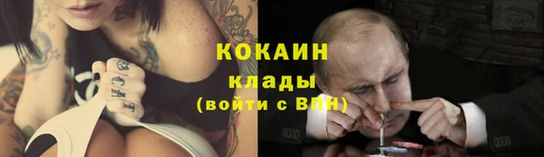 трава Надым