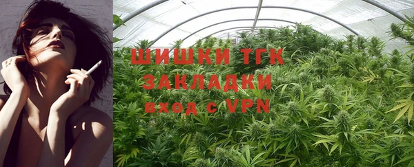 трава Надым