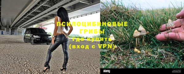 трава Надым