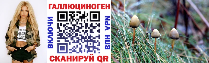 Галлюциногенные грибы Cubensis  Купить  Заволжье 